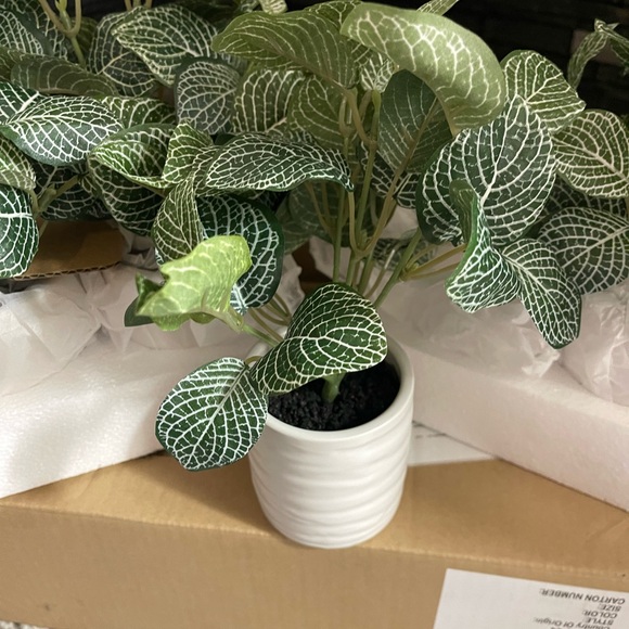 4 Artificial Plant Set Tabletop Plants NEW Fake Plants White Planters SET - Picture 5 of 8